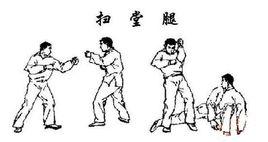 掃堂腿[武術招數]