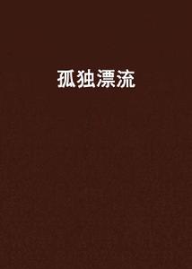 孤獨漂流[小說作品]