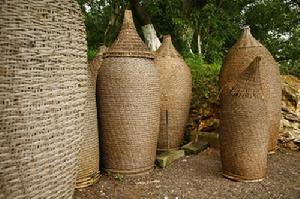 車水捕魚 車水捕魚