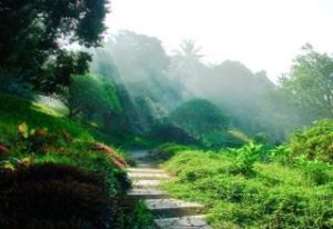 儋州市番加森林保護區