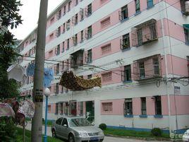 田林十四村 田林十四村