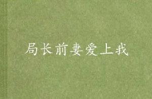 局長前妻愛上我 局長前妻愛上我