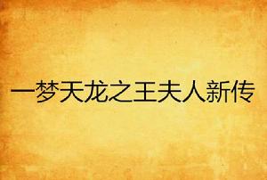 一夢天龍之王夫人新傳 一夢天龍之王夫人新傳