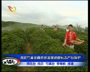竹溪茶葉