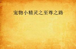 寵物小精靈之至尊之路 寵物小精靈之至尊之路