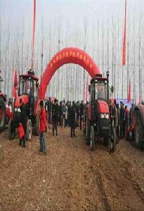 五蓮縣於里鎮 五蓮縣於里鎮