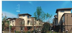 谷水道院 谷水道院