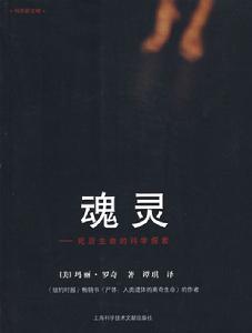 魂靈：死後生命的科學探索