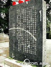 革命烈士——王炳南