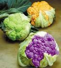 彩色花椰菜 彩色花椰菜