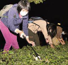 學生義工清理街道垃圾