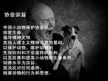 小動物保護協會