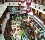 拉薩賽康大酒店 拉薩賽康大酒店