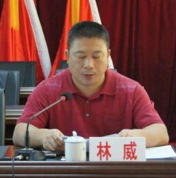 林威[儋州市南豐鎮鎮委書記]