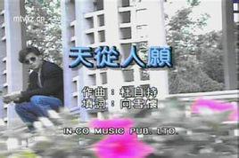 天從人願[劉德華演唱歌曲]