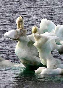 （圖）北極甲烷大爆發