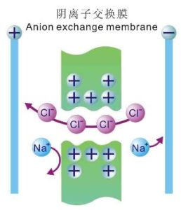 離子交換膜 離子交換膜