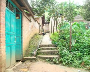 倮練自然村 倮練自然村