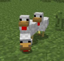 雞[minecraft中的生物]