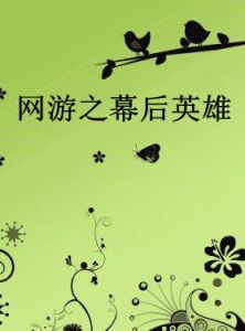 網遊之幕後英雄 網遊之幕後英雄