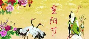 重陽節的詩句 重陽節的詩句