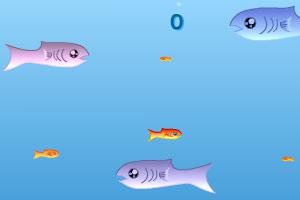 海底大魚吃小魚