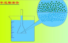半透膜演示