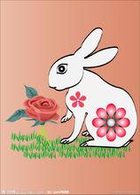 玉兔[經典神話傳說]