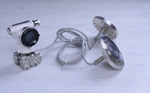 雙法蘭差壓變送器 雙法蘭差壓變送器