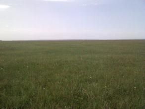 爾林兔草原 爾林兔草原