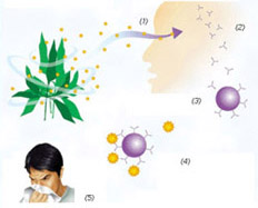組織胺脫敏療法
