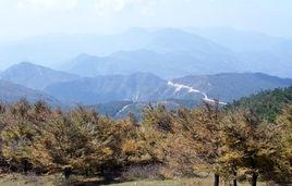 大雷山[浙江玉環市大雷山]