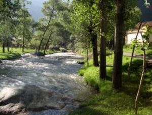 清水河林場 清水河林場