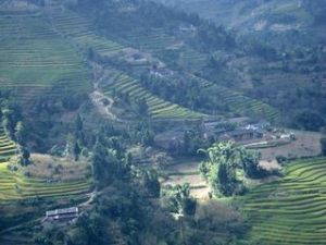 羊圈山自然村 羊圈山自然村