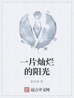 一片燦爛的陽光 一片燦爛的陽光