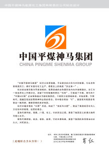 中國平煤神馬集團 中國平煤神馬集團
