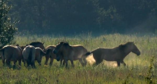 此地曾發生最大規模的核泄漏，現在卻是全世界最安全的地方