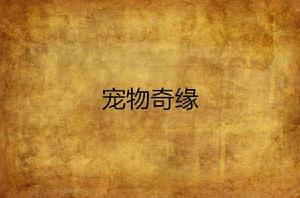 寵物奇緣 寵物奇緣