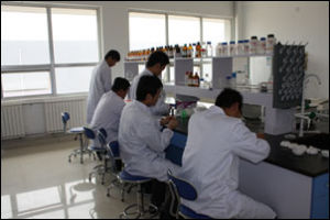 山東冠豐種業科技有限公司