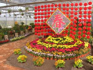 勐巴娜西珍奇園景區 勐巴娜西珍奇園景區