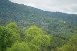 上戶蚌自然村 上戶蚌自然村