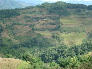 祁家村[雲南省普洱市景東彝族自治縣下轄村]