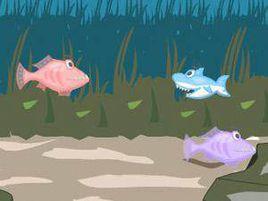 小鯊魚歷險記 小鯊魚歷險記