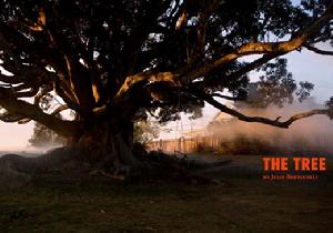 第63屆坎城電影節