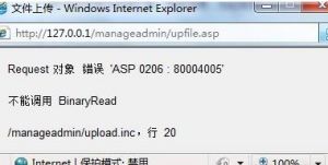 BinaryRead BinaryRead