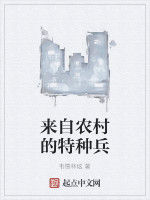 來自農村的特種兵 來自農村的特種兵