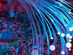 Deceitful clown Deceitful clown