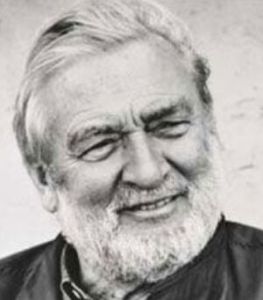 維納爾·潘頓 維納爾·潘頓