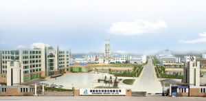 保齡寶生物股份有限公司