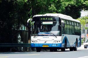 上海公交新蘆專線 上海公交新蘆專線